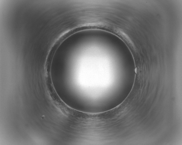 X0000071800628200607072052