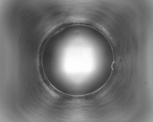 X0000071800629200607072052