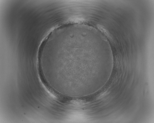 X0000071800630200607072052