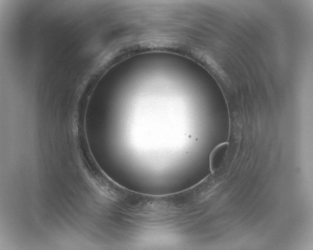 X0000071800631200607072052