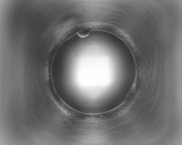 X0000071800633200607072052