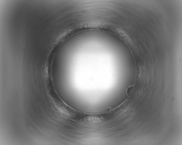 X0000071800636200607072052