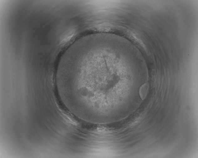 X0000071800641200607072052