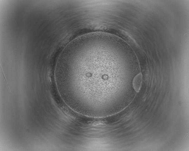 X0000071800643200607072052