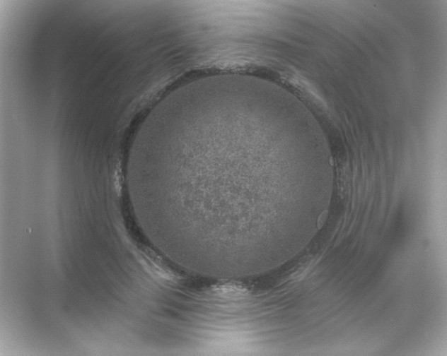 X0000071800644200607072053