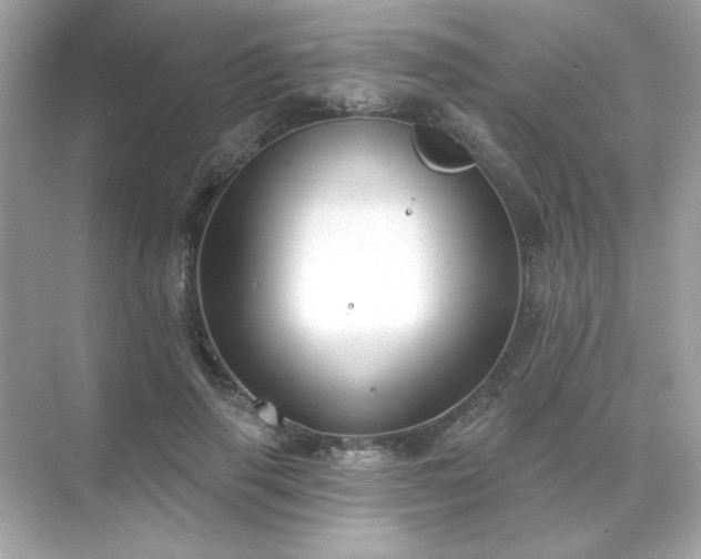 X0000071800645200607072053