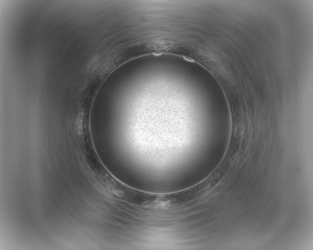 X0000071800647200607072053