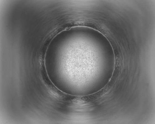 X0000071800648200607072053