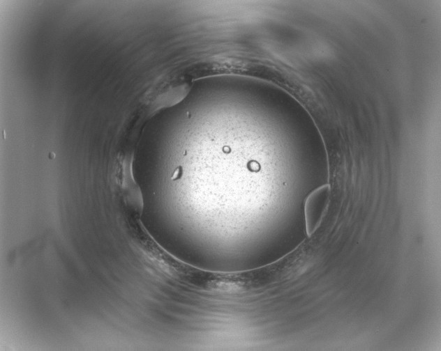 X0000071800649200607072053