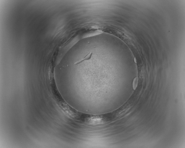 X0000071800651200607072053