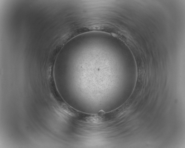 X0000071800652200607072053