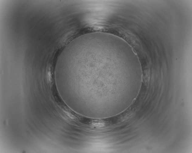 X0000071800653200607072053