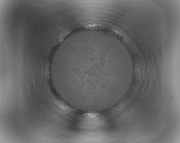 X0000071800654200607072053