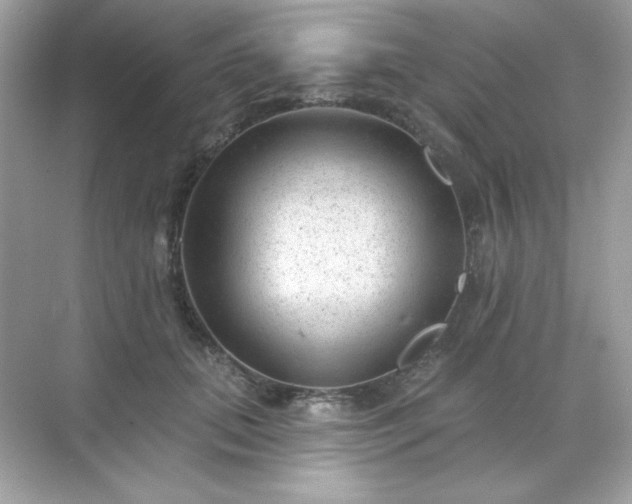 X0000071800655200607072053