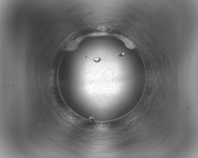 X0000071800656200607072053