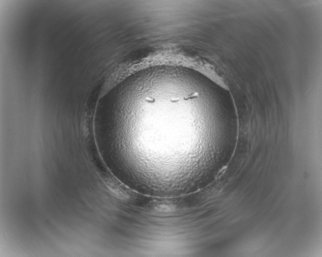 X0000071800658200607072053