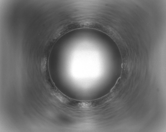 X0000071800660200607072053