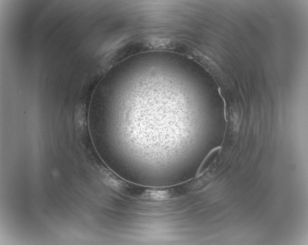 X0000071800665200607072053