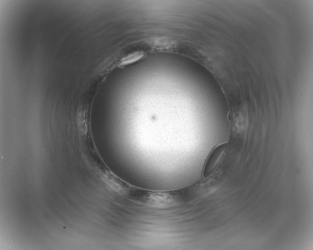 X0000071800666200607072053