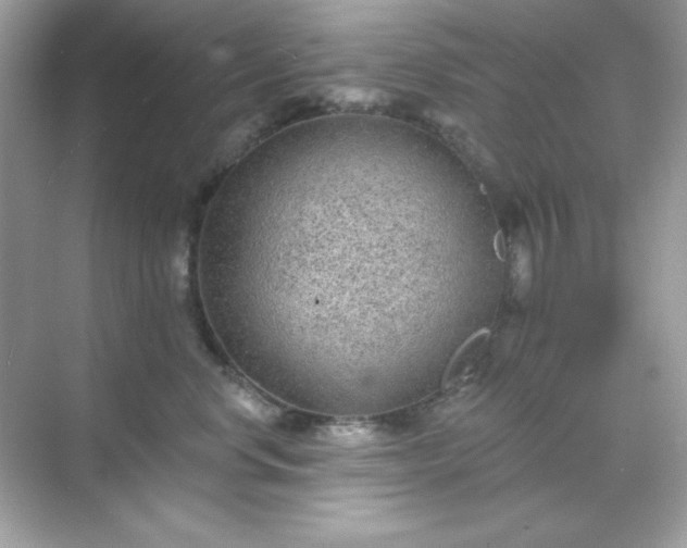 X0000071800668200607072053