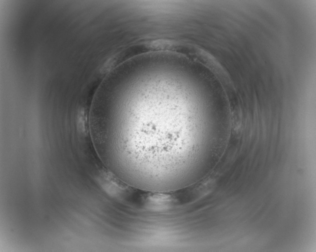 X0000071800669200607072053