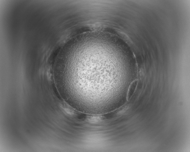 X0000071800671200607072053