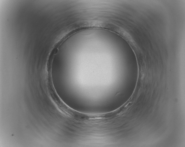 X0000071800674200607072052