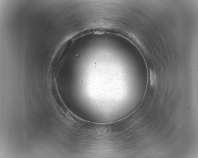 X0000071800675200607072052