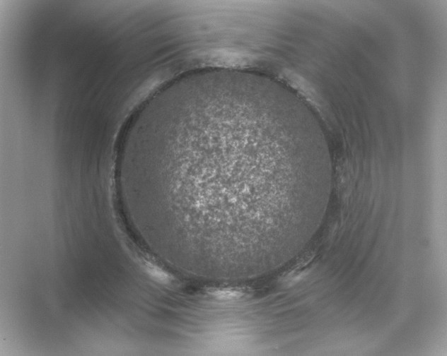 X0000071800679200607072052