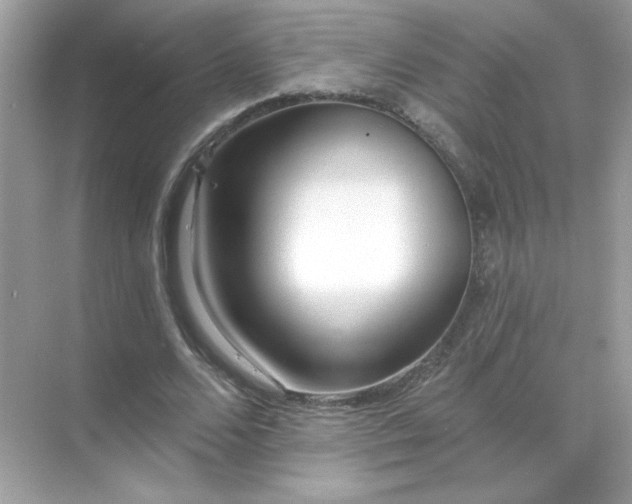 X0000071800680200607072052