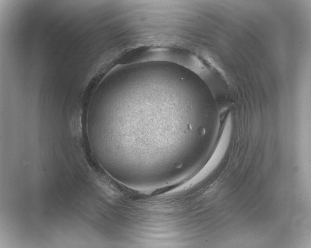 X0000071800685200607072052