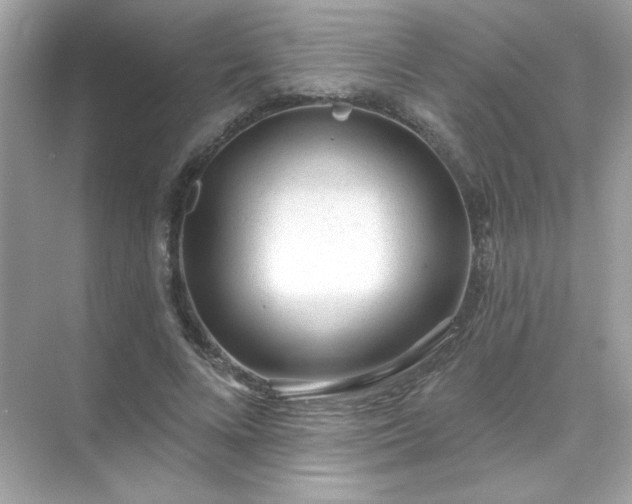 X0000071800688200607072052