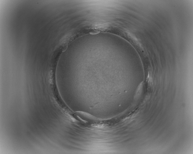 X0000071800689200607072052