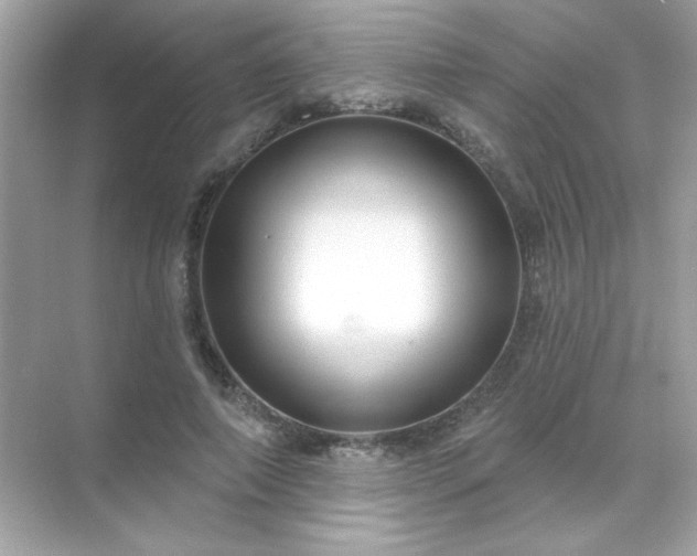 X0000071800690200607072052