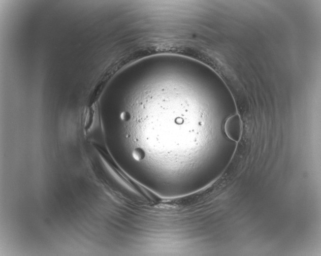 X0000071800691200607072052