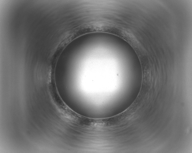 X0000071800694200607072052