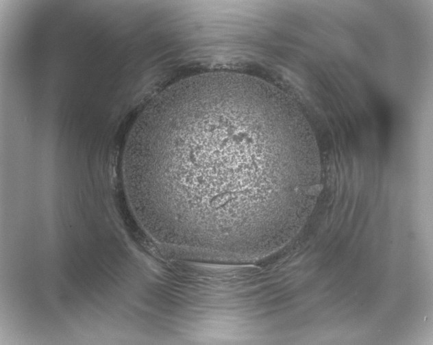 X0000071800695200607072052