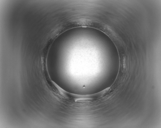 X0000071800696200607072052