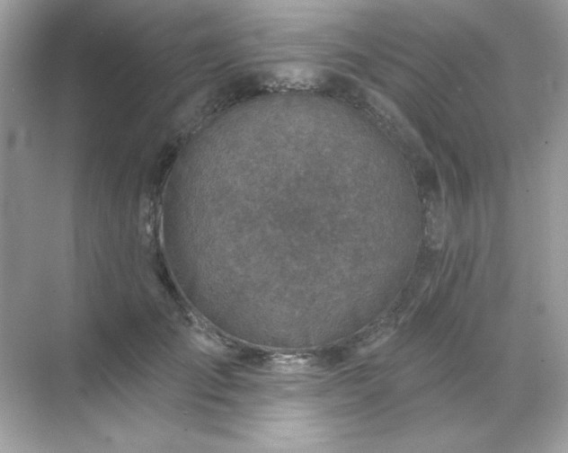 X0000071800701200607072052