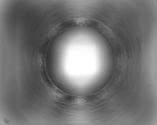 X0000071800702200607072052