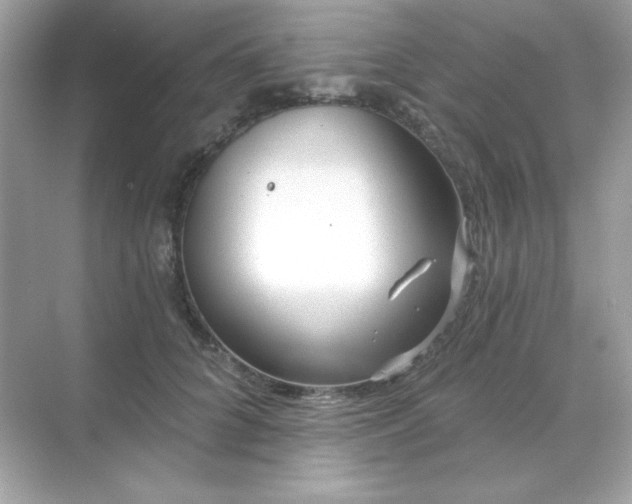 X0000071800704200607072052