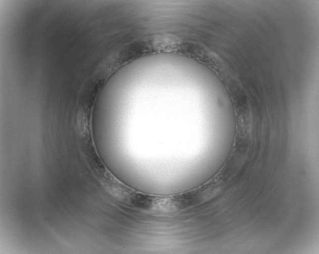 X0000071800705200607072052