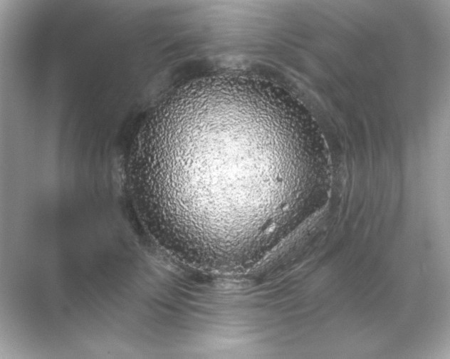 X0000071800707200607072052