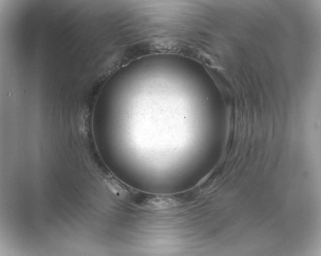 X0000071800712200607072052