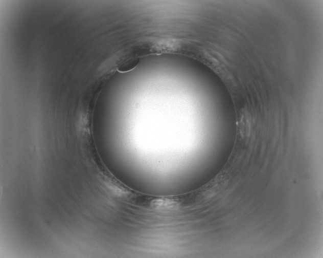 X0000071800714200607072051