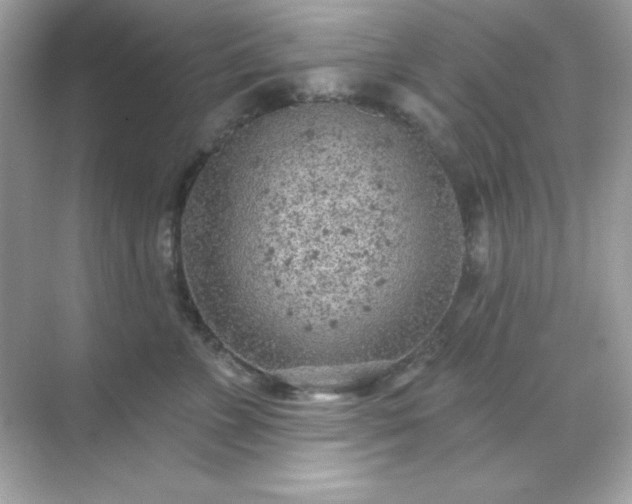 X0000071800715200607072051