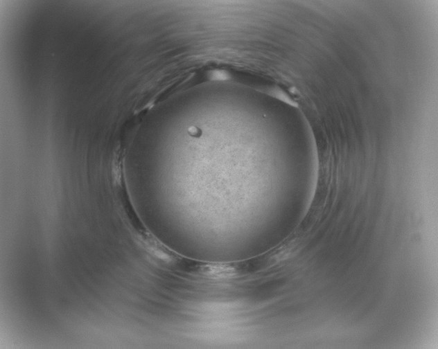 X0000071800719200607072051