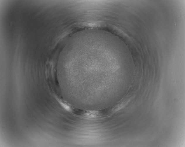 X0000071800720200607072051