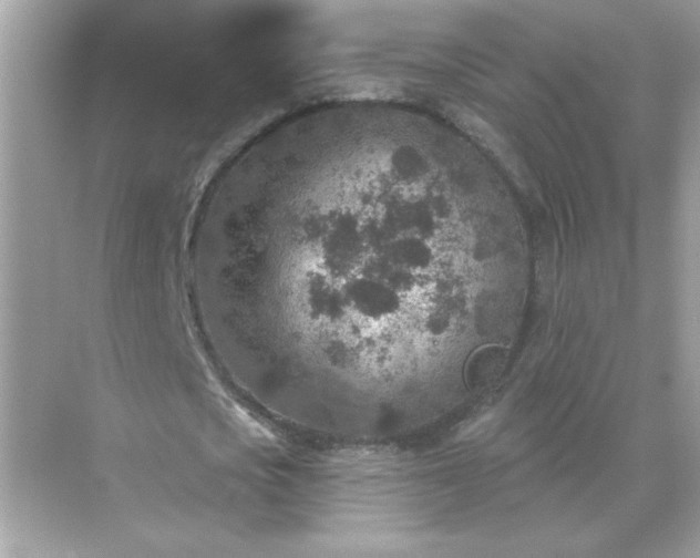 X0000071800721200607072051