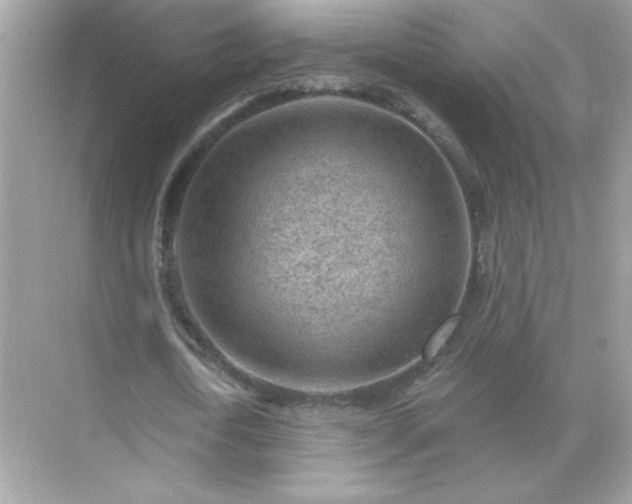 X0000071800722200607072051